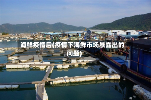 海鲜疫情后(疫情下海鲜市场暴露出的问题)-第2张图片