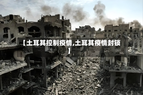 【土耳其控制疫情,土耳其疫情封锁】-第3张图片