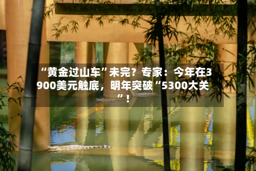 “黄金过山车”未完？专家：今年在3900美元触底，明年突破“5300大关	”！-第2张图片