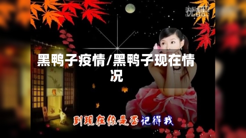 黑鸭子疫情/黑鸭子现在情况-第2张图片