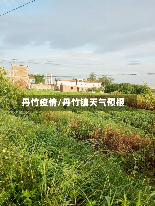 丹竹疫情/丹竹镇天气预报
