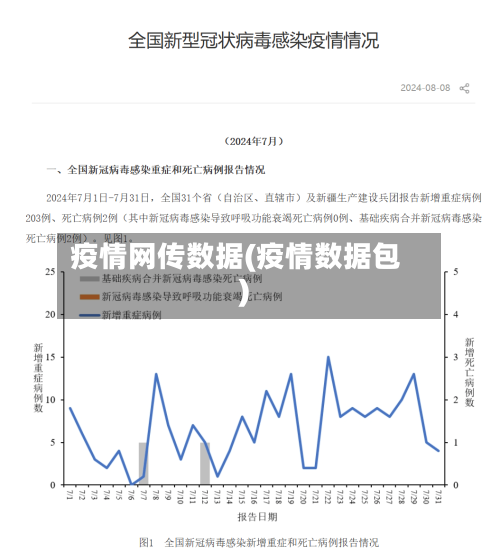 疫情网传数据(疫情数据包)