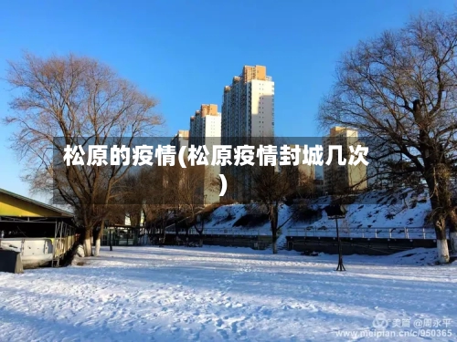 松原的疫情(松原疫情封城几次)-第2张图片
