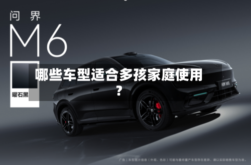 哪些车型适合多孩家庭使用?-第3张图片