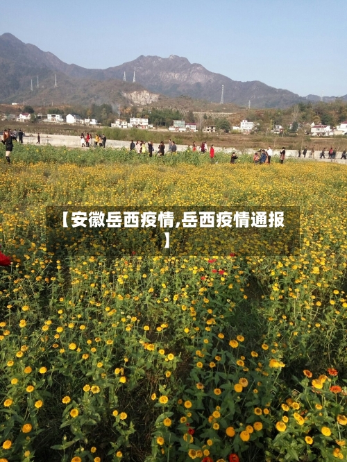 【安徽岳西疫情,岳西疫情通报】