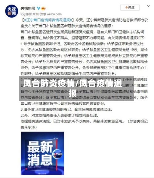 凤台肺炎疫情/凤台疫情通报-第2张图片