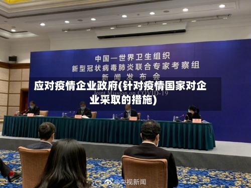 应对疫情企业政府(针对疫情国家对企业采取的措施)-第2张图片