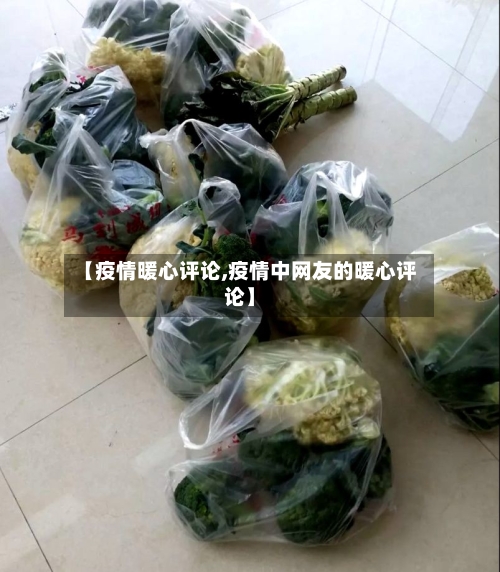 【疫情暖心评论,疫情中网友的暖心评论】-第2张图片