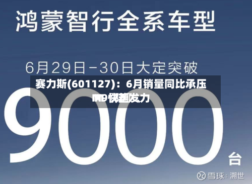 赛力斯(601127)：6月销量同比承压 M〖陆〗	、M9快速发力-第3张图片