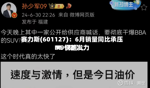 赛力斯(601127)：6月销量同比承压 M〖陆〗、M9快速发力-第2张图片