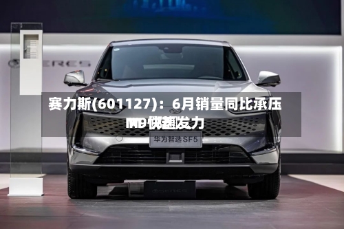 赛力斯(601127)：6月销量同比承压 M〖陆〗、M9快速发力-第2张图片