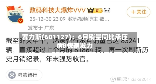 赛力斯(601127)：6月销量同比承压 M〖陆〗、M9快速发力-第2张图片