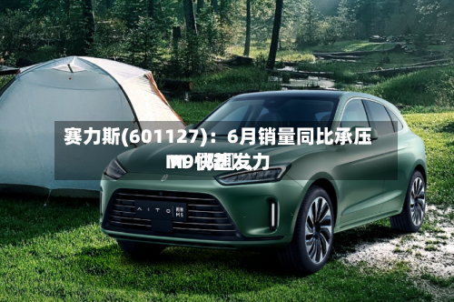 赛力斯(601127)：6月销量同比承压 M〖陆〗、M9快速发力-第2张图片