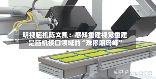 明视脑机陈文凯：感知重建视觉重建是脑机接口领域的“珠穆朗玛峰”-第2张图片