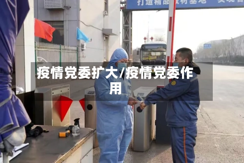 疫情党委扩大/疫情党委作用