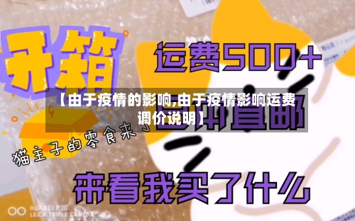 【由于疫情的影响,由于疫情影响运费调价说明】-第2张图片