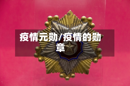 疫情元勋/疫情的勋章