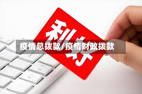 疫情总拨款/疫情财政拨款