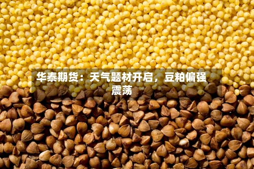 华泰期货：天气题材开启，豆粕偏强震荡-第2张图片