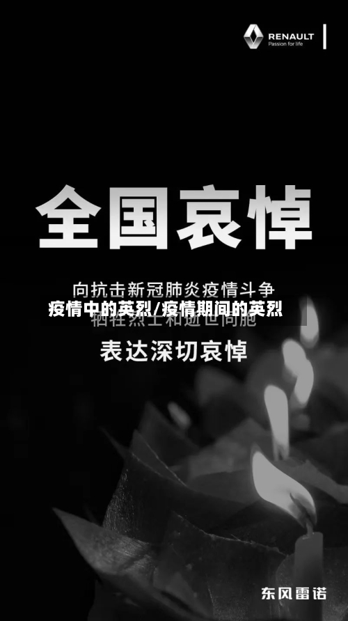 疫情中的英烈/疫情期间的英烈