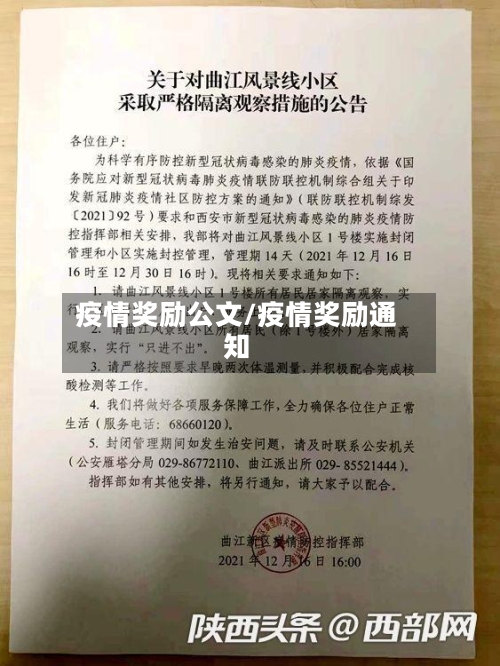 疫情奖励公文/疫情奖励通知-第2张图片