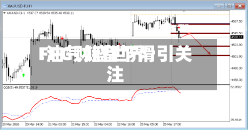 FPG财盛世界:油气储备下滑引关注-第2张图片