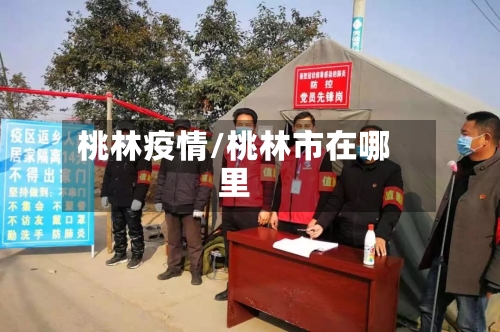 桃林疫情/桃林市在哪里