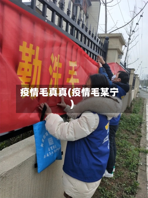 疫情毛真真(疫情毛某宁)-第2张图片