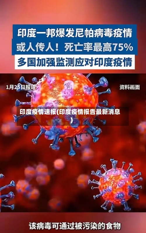 印度疫情速报(印度疫情报告最新消息)-第3张图片