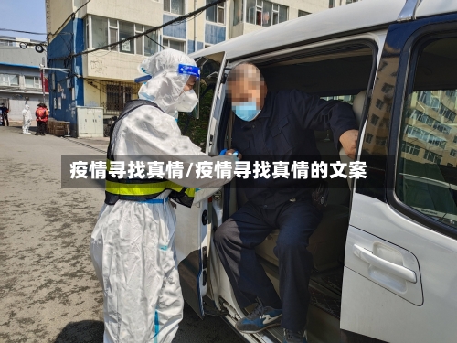 疫情寻找真情/疫情寻找真情的文案