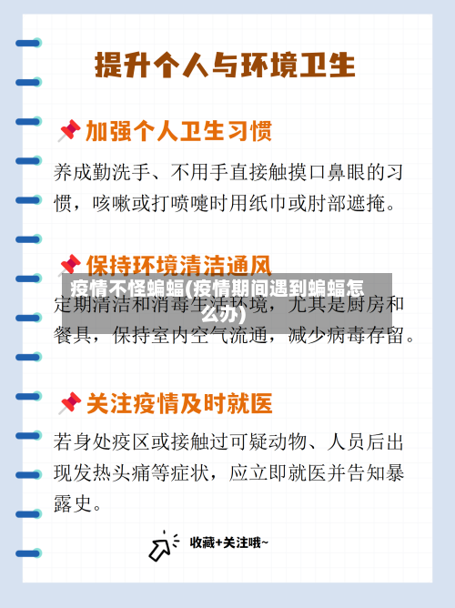 疫情不怪蝙蝠(疫情期间遇到蝙蝠怎么办)-第2张图片