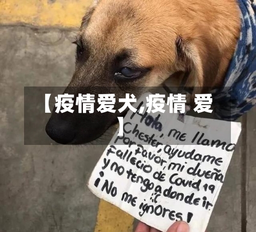 【疫情爱犬,疫情 爱】-第3张图片