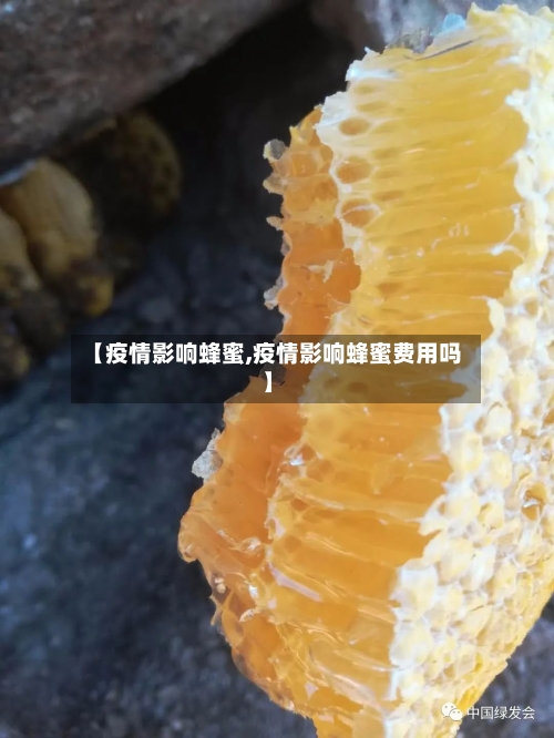 【疫情影响蜂蜜,疫情影响蜂蜜费用吗】-第3张图片