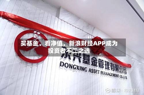 买基金、看净值，新浪财经APP成为投资者不二之选-第2张图片