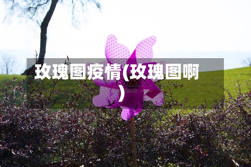 玫瑰图疫情(玫瑰图啊)
