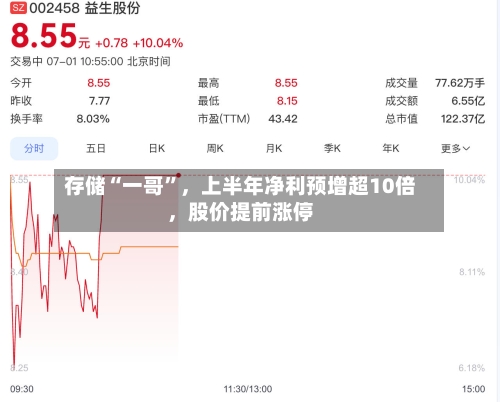 存储“一哥”	，上半年净利预增超10倍，股价提前涨停-第2张图片