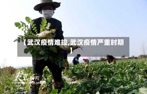 【武汉疫情难控,武汉疫情严重时期】