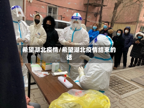 希望湖北疫情/希望湖北疫情结束的话-第3张图片