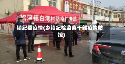镇纪委疫情(乡镇纪检监察干部疫情防控)-第3张图片