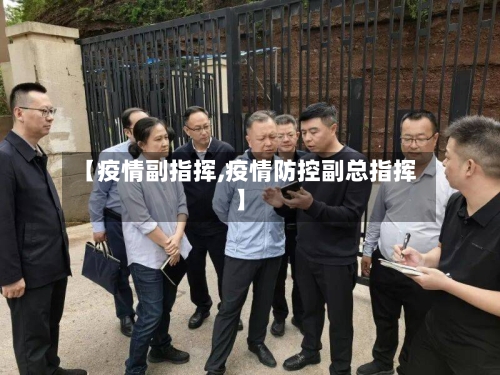 【疫情副指挥,疫情防控副总指挥】-第2张图片