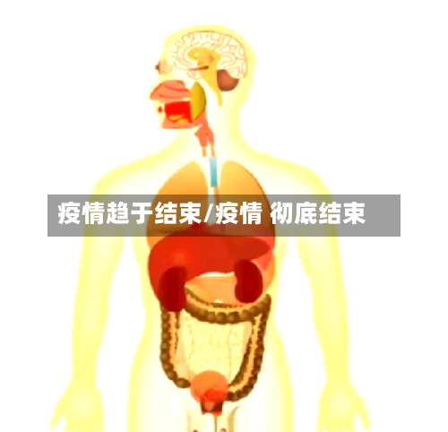疫情趋于结束/疫情 彻底结束