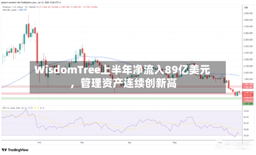WisdomTree上半年净流入89亿美元，管理资产连续创新高-第2张图片