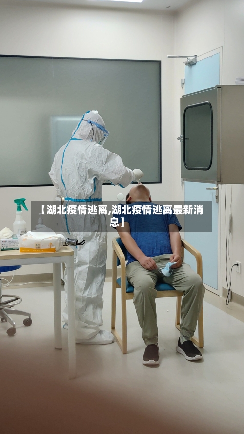 【湖北疫情逃离,湖北疫情逃离最新消息】-第2张图片