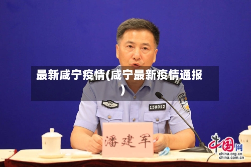 最新咸宁疫情(咸宁最新疫情通报)-第3张图片