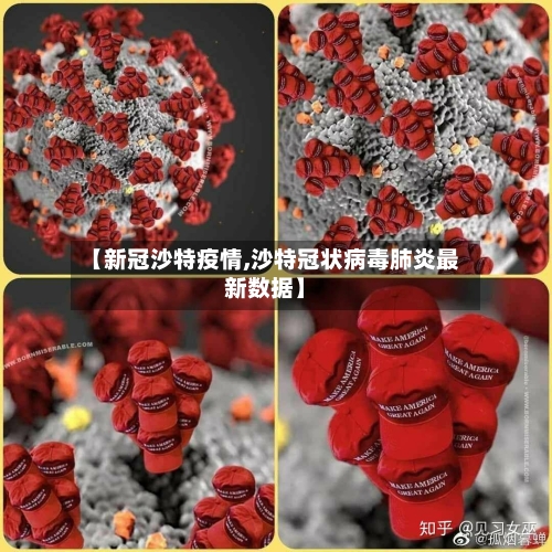 【新冠沙特疫情,沙特冠状病毒肺炎最新数据】-第2张图片