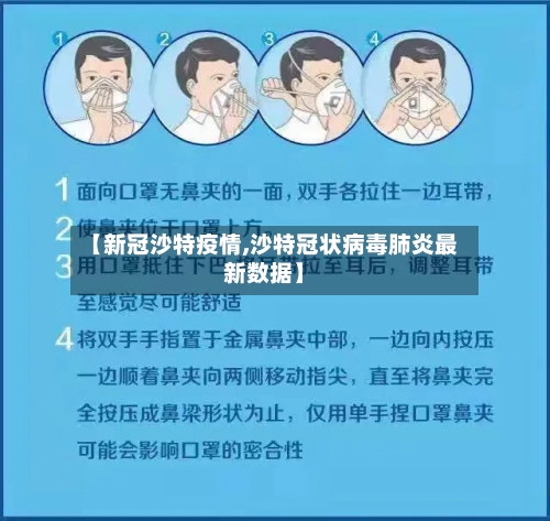 【新冠沙特疫情,沙特冠状病毒肺炎最新数据】-第3张图片