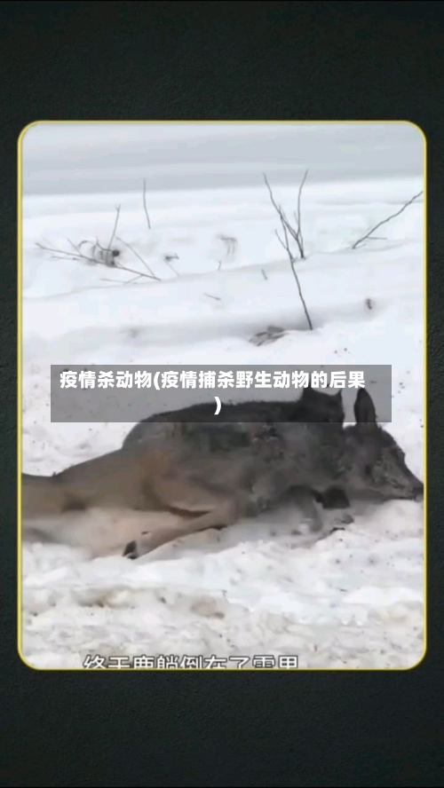 疫情杀动物(疫情捕杀野生动物的后果)-第2张图片