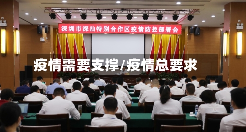 疫情需要支撑/疫情总要求