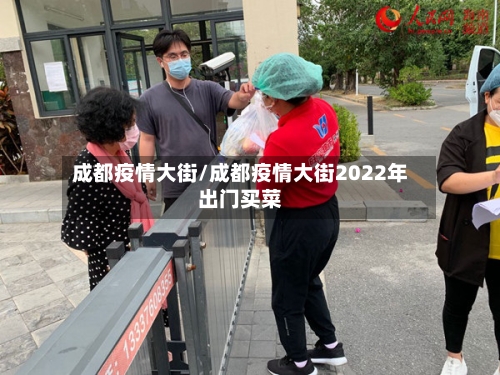 成都疫情大街/成都疫情大街2022年出门买菜