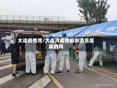 大连疫情湾/大连湾疫情最新消息是真的吗-第3张图片